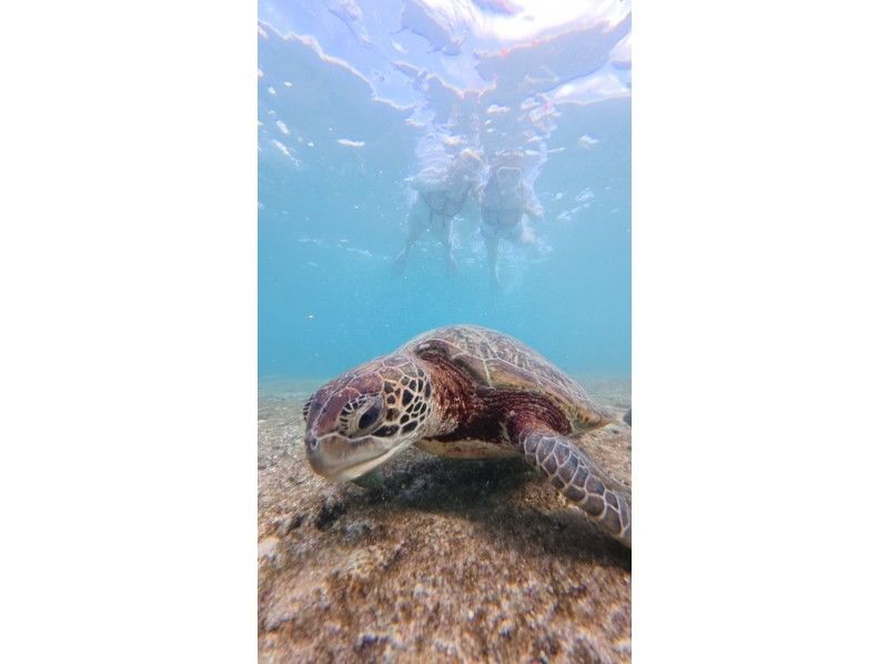 nico 宮古島 のギャラリー