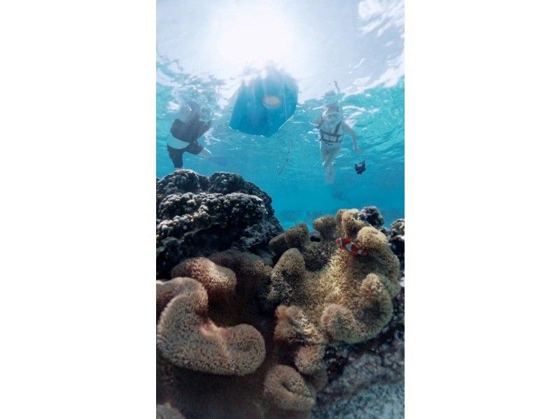 nico 宮古島 のギャラリー