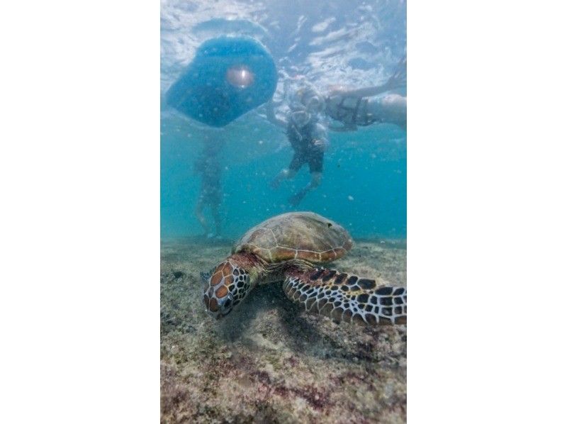 nico 宮古島 のギャラリー