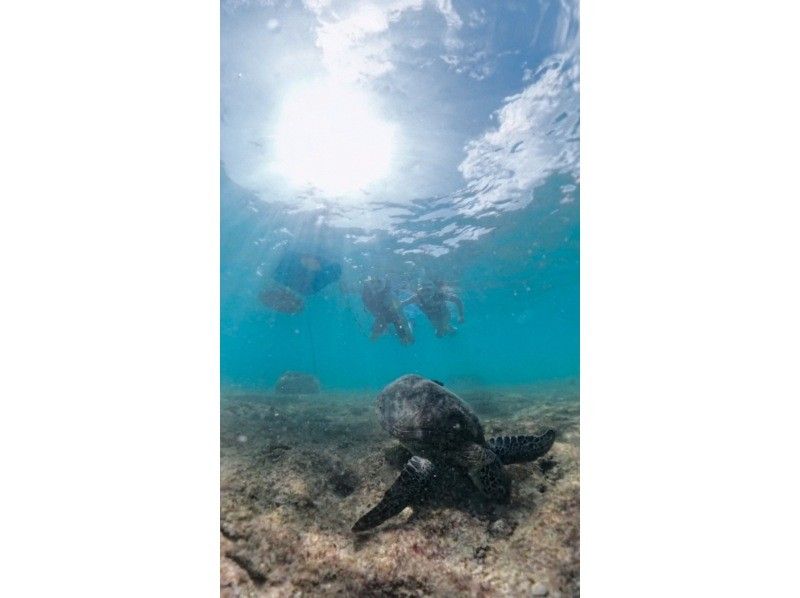 nico 宮古島 のギャラリー