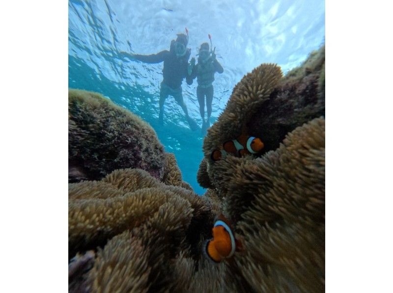 nico 宮古島 のギャラリー