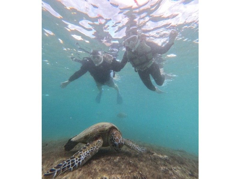 nico 宮古島 のギャラリー