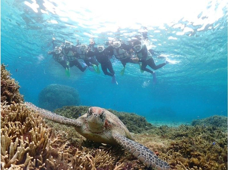 nico 宮古島 のギャラリー