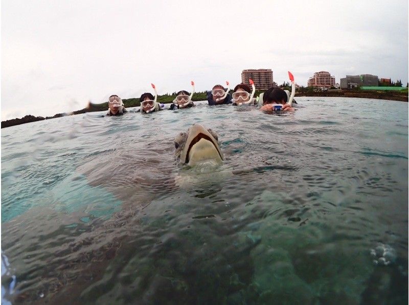 nico 宮古島 のギャラリー