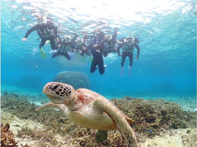 nico 宮古島 のギャラリー
