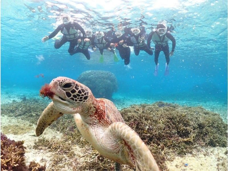 nico 宮古島 のギャラリー