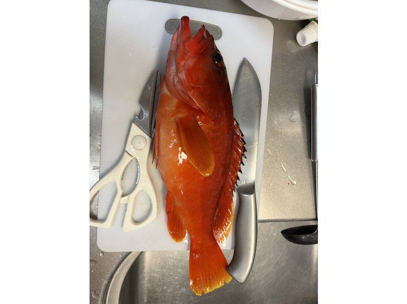 SeafariJapan合同会社 のギャラリー