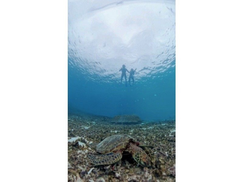 nico 宮古島 のギャラリー