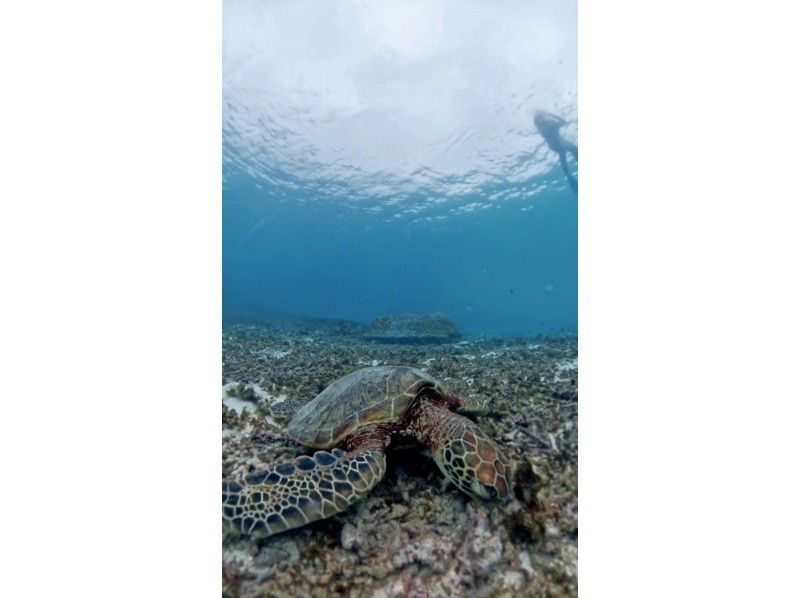 nico 宮古島 のギャラリー