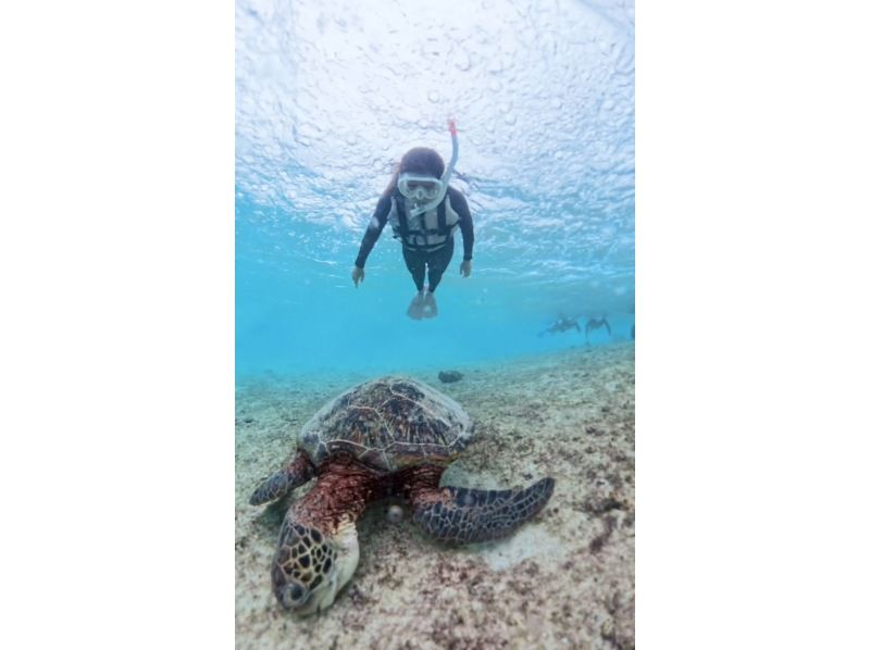 nico 宮古島 のギャラリー