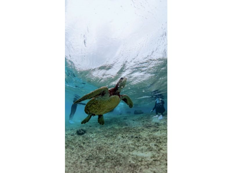 nico 宮古島 のギャラリー