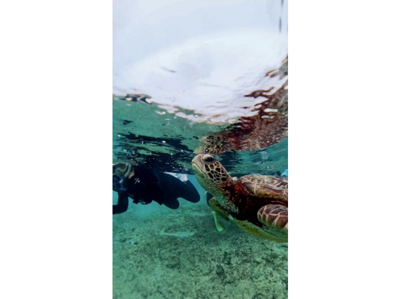 nico 宮古島 のギャラリー