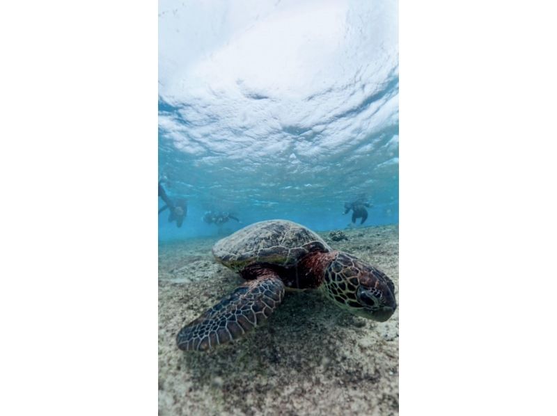 nico 宮古島 のギャラリー