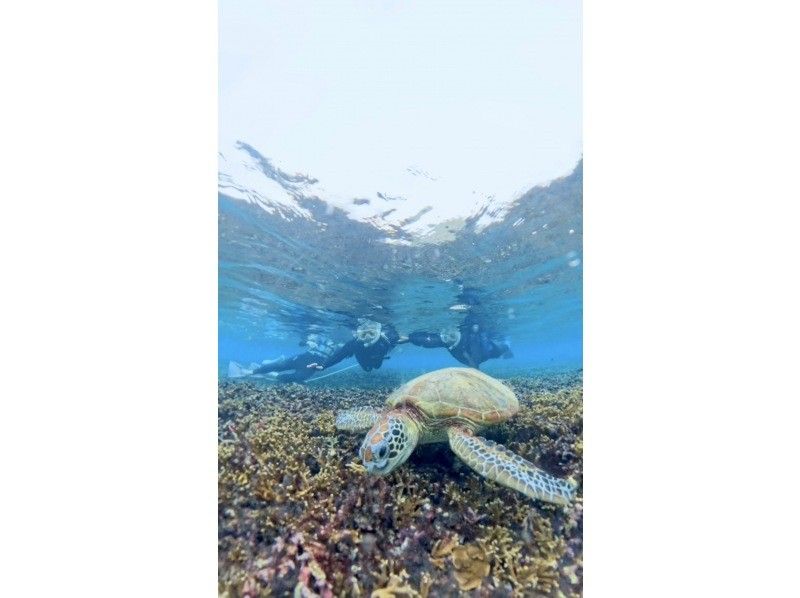 nico 宮古島 のギャラリー