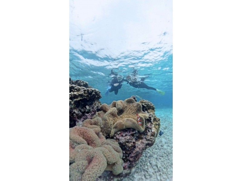 nico 宮古島 のギャラリー