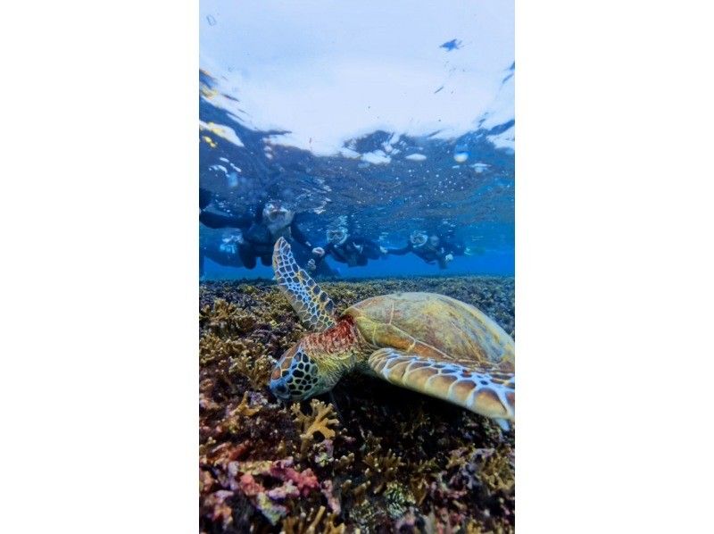 nico 宮古島 のギャラリー