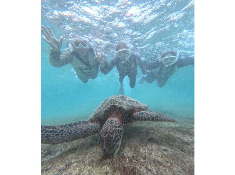 nico 宮古島 のギャラリー