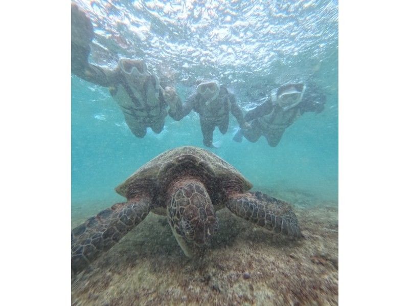 nico 宮古島 のギャラリー