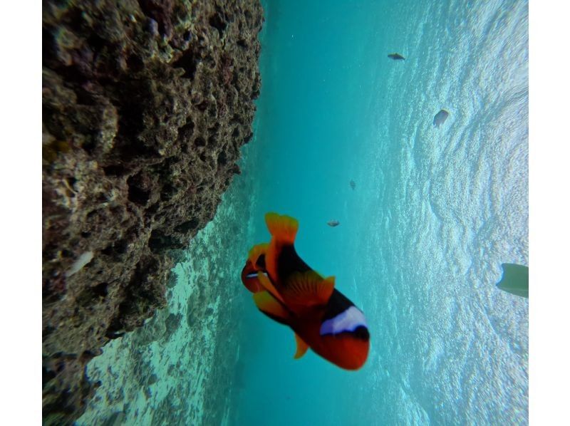 Diving Shop Lei のギャラリー