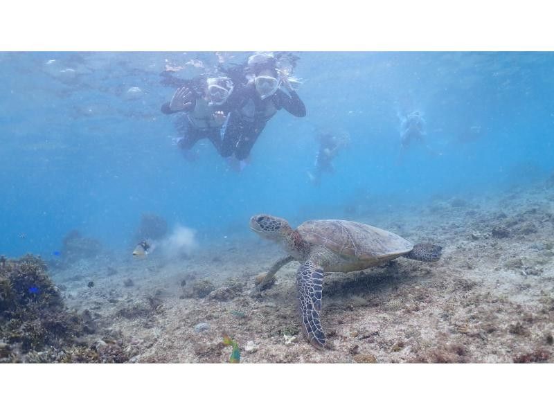 nico 宮古島 のギャラリー