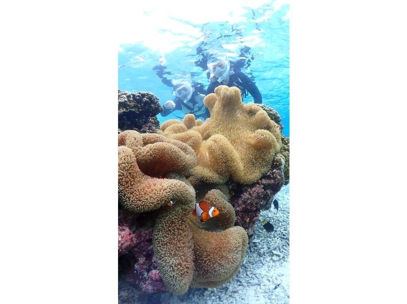 nico 宮古島 のギャラリー