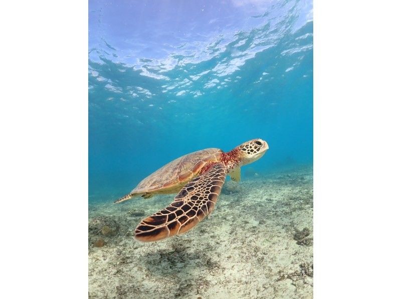 nico 宮古島 のギャラリー