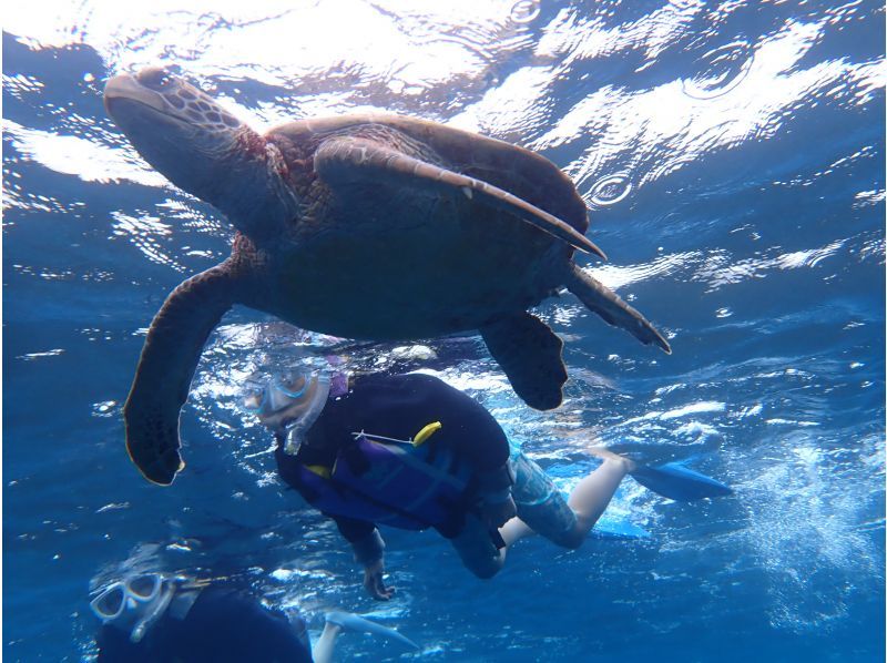 シュノーケル専門店MINAMO のギャラリー