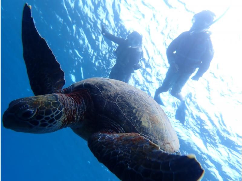シュノーケル専門店MINAMO のギャラリー