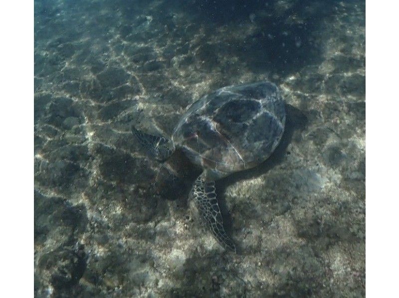 SUNSHINE MARIN 宮古島 のギャラリー