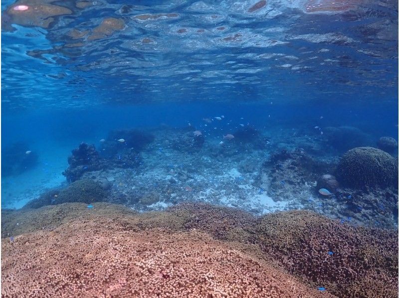 SUNSHINE MARIN 宮古島 のギャラリー