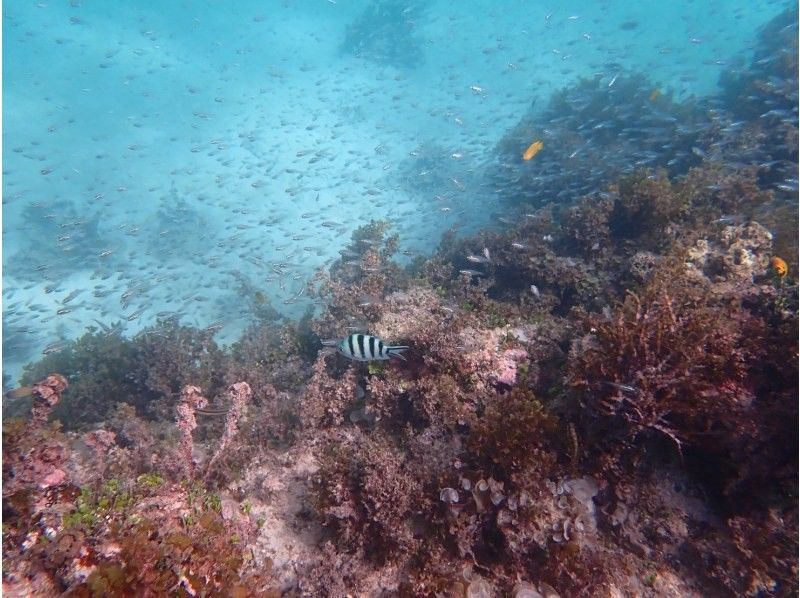 3 piece のギャラリー