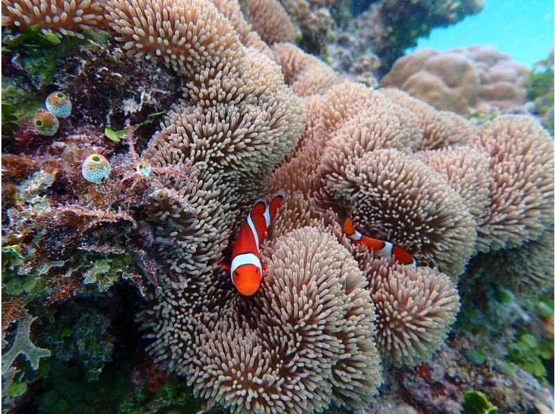 3 piece のギャラリー