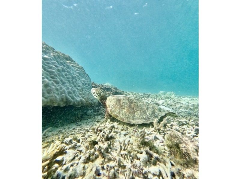 宮古島マリン SUGAR3 のギャラリー