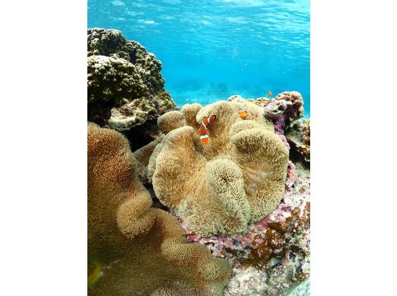 nico 宮古島 のギャラリー