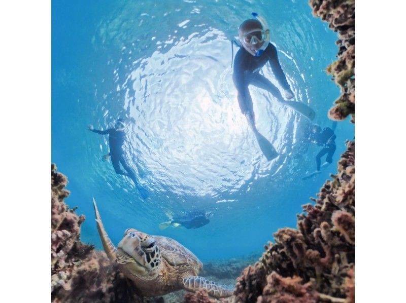 Dive Center OKKY のギャラリー