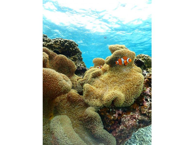 nico 宮古島 のギャラリー