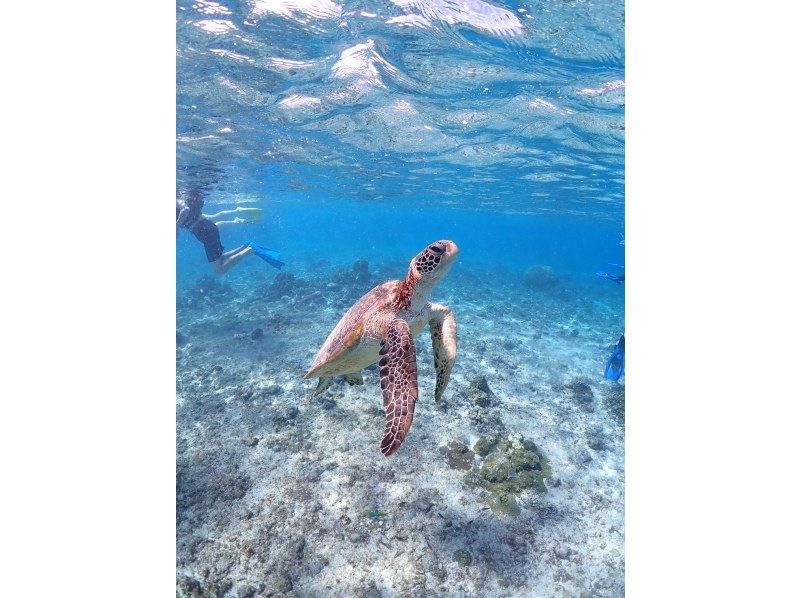 Nami宮古島 のギャラリー