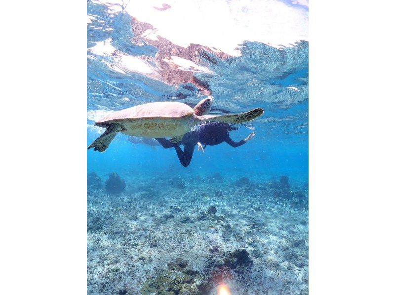 Nami宮古島 のギャラリー