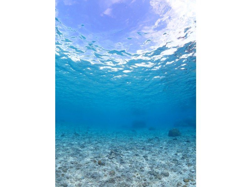 Nami宮古島 のギャラリー