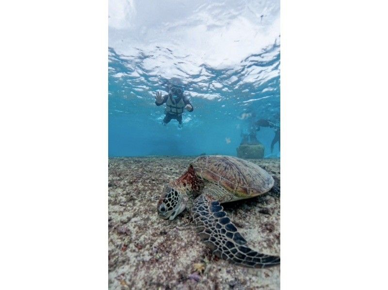 nico 宮古島 のギャラリー