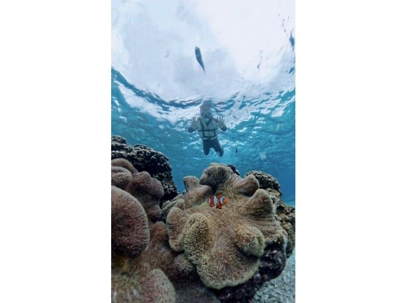 nico 宮古島 のギャラリー