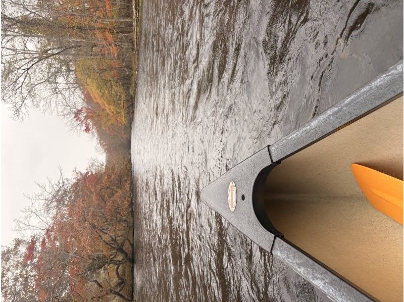 TOIMOK（トイモク） のギャラリー