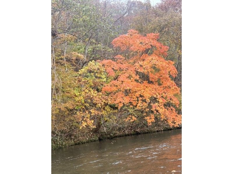 TOIMOK（トイモク） のギャラリー