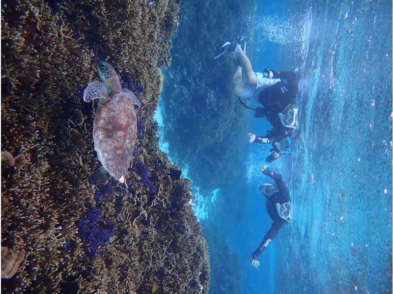 宮古ぱちツアーズ のギャラリー