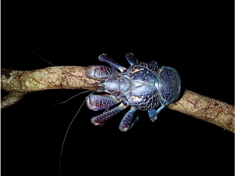 宮古島マリンショップSmiley のギャラリー