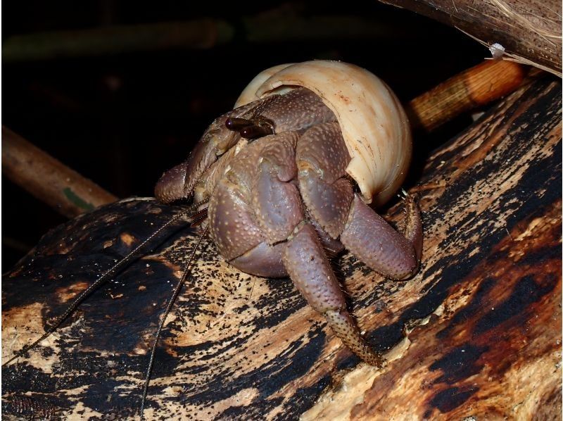 宮古島マリンショップSmiley のギャラリー