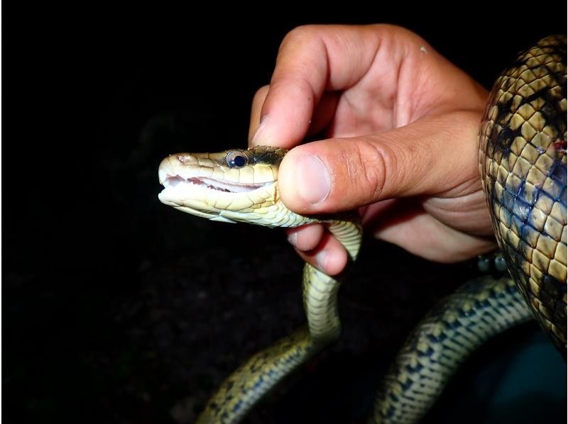 宮古島マリンショップSmiley のギャラリー