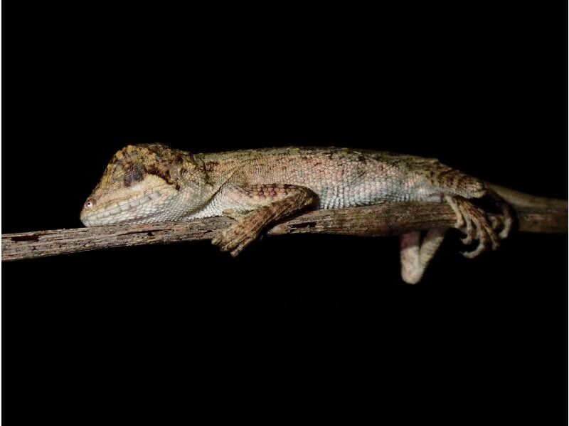 宮古島マリンショップSmiley のギャラリー