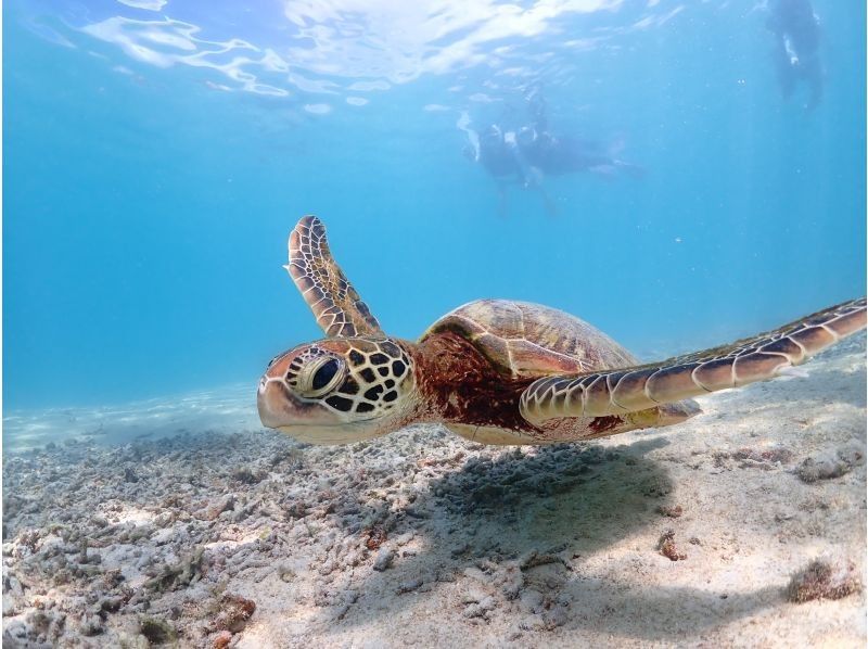 宮古島マリンショップSmiley のギャラリー