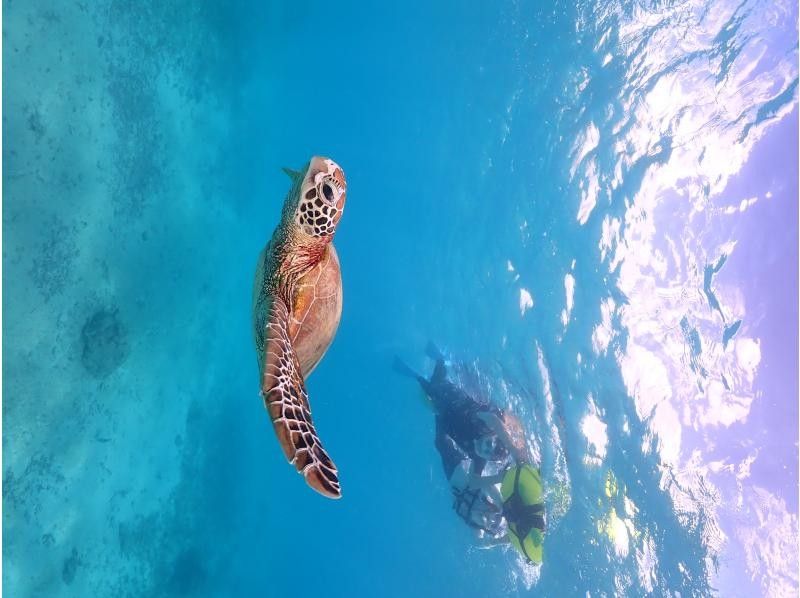 宮古島マリンショップSmiley のギャラリー